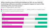 TikTok Ban Is Popular With Voters as AI Stirs Privacy Fears, Poll Shows