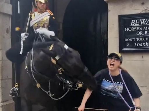 Tourist posing for a photo faints when King's Guard horse BITES her