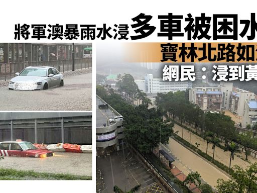 將軍澳水浸多車被水圍困 寶林北路如澤國 網民：浸到黃河咁