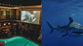 ¡Sumérgete en el terror! Ve completamente gratis la película “Tiburón" en la piscina de icónico hotel de San Diego