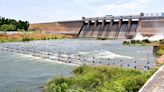 Water from Vaigai dam to be released on July 3 to irrigate first crops in Madurai, Dindigul districts