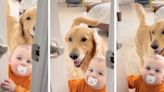 Mom captures ‘cutest little troublemakers’ in adorable TikTok