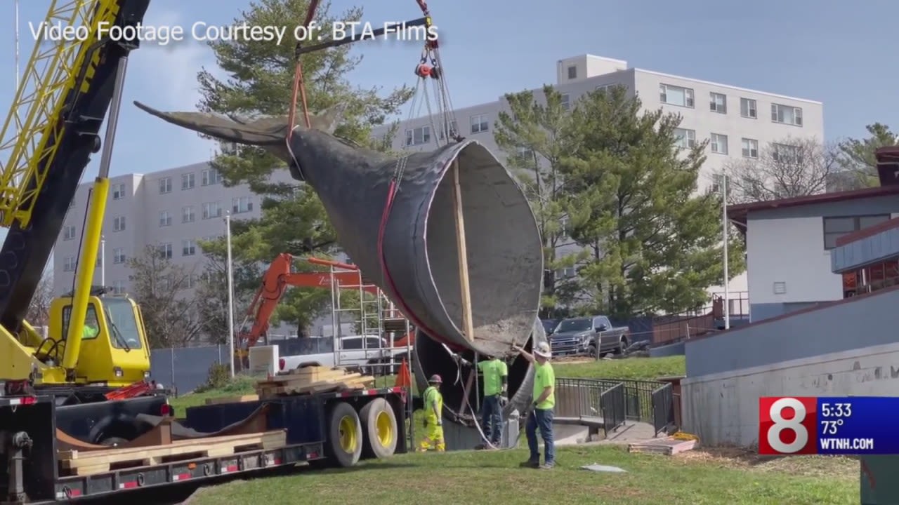 Conny the Whale’s tail returns to West Hartford