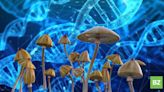 EXCLUSIVE: Psychedelic-Focused Firm Clearmind Medicine Submits Three New International Patent Applications For MDMA, Ibogaine And...