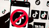 Which countries have banned TikTok and why?