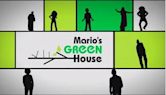 Mario's Green House
