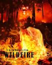 Wildfire | Drama, Romance