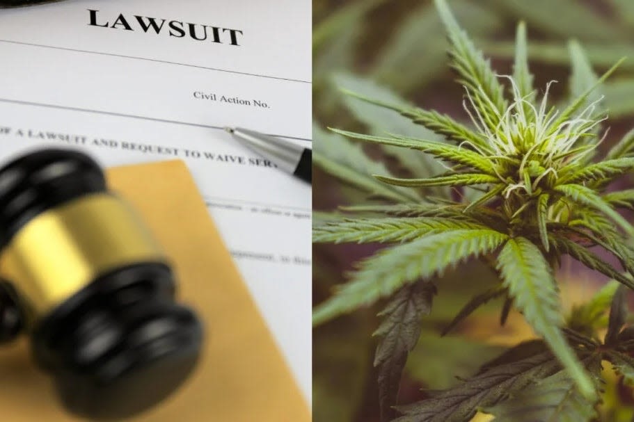 California's Corporate Weed Beef: Glass House Withdraws Defamation Suit Against Catalyst Cannabis...
