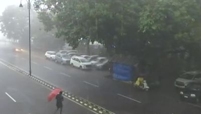 Incessant rains pound Goa for 2nd day, trigger landslides, water logging