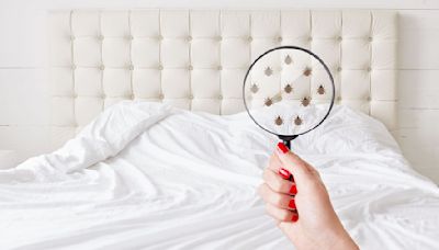 How to tell if your hotel mattress has bed bugs — 7 tips and tricks