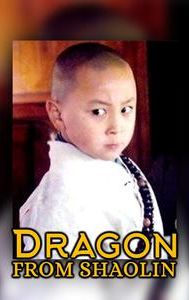 Dragon from Shaolin