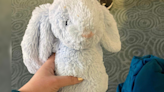 'Do you know this bunny?': Stuffed animal lost at Vancouver airport looking for owner