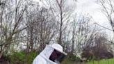 North Macedonia's beekeepers face climate change challenge