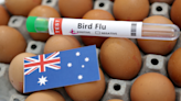 Australia reports new bird flu case at poultry farm as global concerns rise