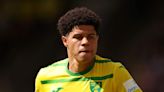 Roma to secure Gabriel Sara from Norwich City after completing Le Fee’s signing from Rennes