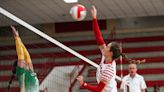 Ray's Kylie Cason helps key Texans win and more high school volleyball top performers