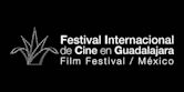 Festival Internacional de Cine en Guadalajara