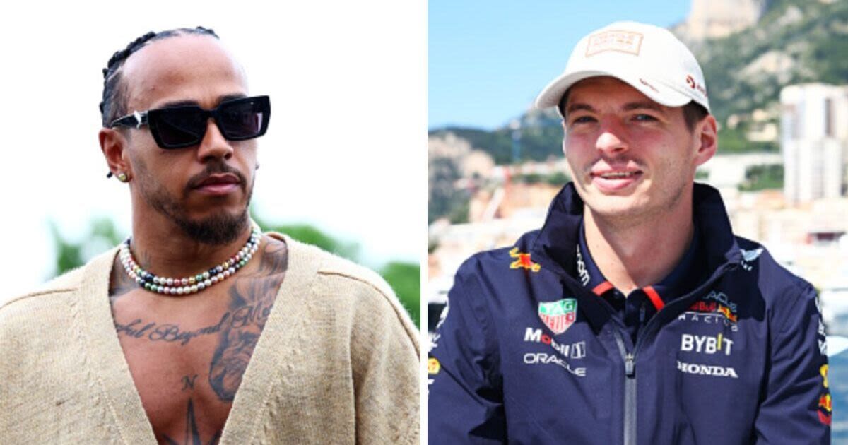 Max Verstappen gets F1 wish granted after Lewis Hamilton disagreed with Alonso