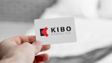 Kibo raises £0.15m to continue delayed audit, appoints interim CEO