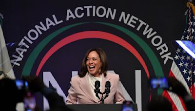 The Kamala Harris coconut tree quote, explained: What do all the memes from the ‘KHive’ mean?