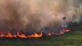 Incendios en los humedales de Brasil baten récord para el mes de junio