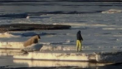 Tourist fined for approaching walrus in Norway