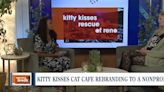 Kitty Kisses Rescue of Reno: A new nonprofit supporting cat welfare in the northern Nevada communty