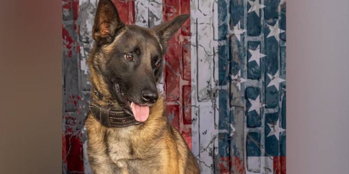 WATCH LIVE: Deputies hold memorial service to honor K9 who was killed in line of duty