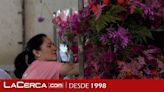 Floristas de todo el país trabajan "contrarreloj" para engalanar Toledo por el Corpus, que luce ya más de mil plantas