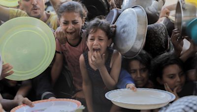 Israel's allies condemn Gaza starvation 'just and moral' comment