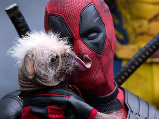 Meet Dogpool: The new Canine hero in Deadpool & Wolverine | English Movie News - Times of India