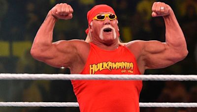 Hulk Hogan Apologizes To Mick Foley For Calling Him A Glorified Stuntman, Says He Was Ignorant