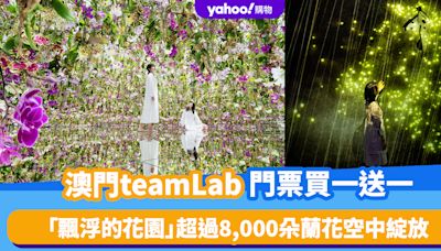 澳門旅遊｜澳門好去處teamLab買一送一！「飄浮的花園」超過8,000朵蘭花空中綻放、「無相之雲」沉浸雕塑與生命之間