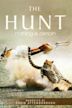 The Hunt (2015 TV series)