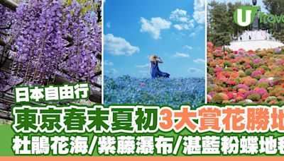 東京春末夏初3大賞花勝地！「東京新百景」杜鵑花海/紫藤瀑布/湛藍粉蝶地毯 | U Travel 旅遊資訊網站