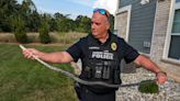 Cop or snake charmer? Fuquay-Varina officer helps in ‘slithery situation’