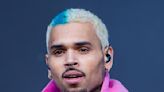 Chris Brown’s Company Loses Bid to Dismantle Dog Bite Lawsuit