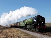 Watercress Line