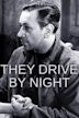 They Drive by Night (1938 film)