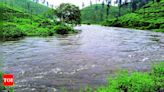 Heavy Rain Increases Water Levels in Noyyal River, Siruvani, and Pillur Dams | Coimbatore News - Times of India