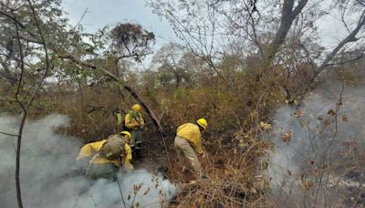 Defensa Civil reporta 10.424 focos de calor en el oriente - El Diario - Bolivia