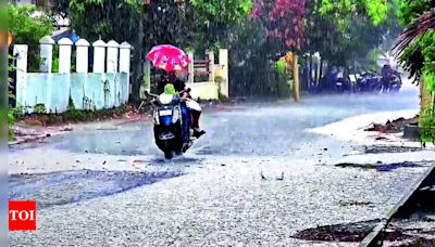 Monsoon Advancement Halts, Showers In Valsad | Surat News - Times of India