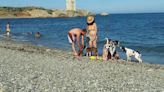 ¿Pueden ir los perros a una playa con bandera azul?