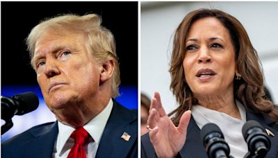 Trump says world leaders will walk all over Harris because of ‘how she looks’ in latest misogynist rant