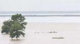 Assam flood situation grim, nearly 23 lakh people affected in 28 districts | Business Insider India