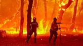 Grecia decreta la alerta máxima por los fuertes incendios :"El fuego se extiende a la velocidad del rayo"