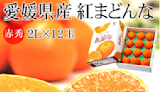 日本「紅瑪丹娜」蜜柑3公斤要價3600元、貴婦照狂買！為何「水果王國」台灣達不到這層次？