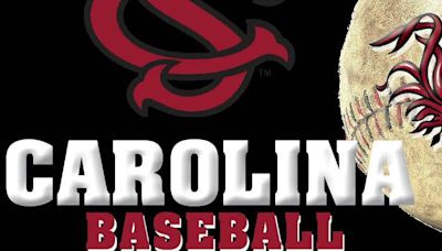 CAROLINA BASEBALL: Gamecocks fall to Bulldogs