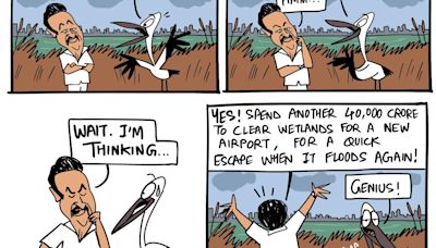 Green Humour by Rohan Chakravarty on Chennai flood