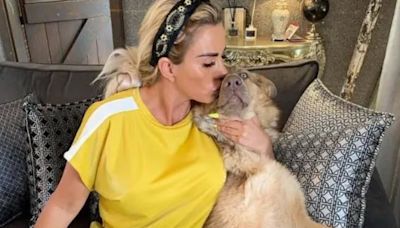 Petition to stop Katie Price owning pets soars to 36k signatures